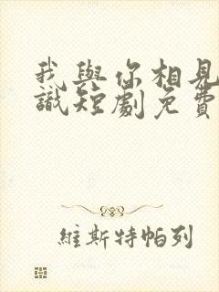 我与你相见不相识短剧免费观看全集