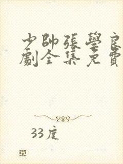 少帅张学良电视剧全集免费观看星辰