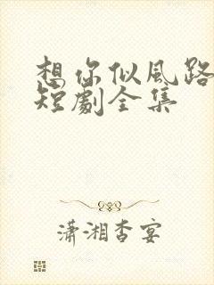 想你似风路过我短剧全集