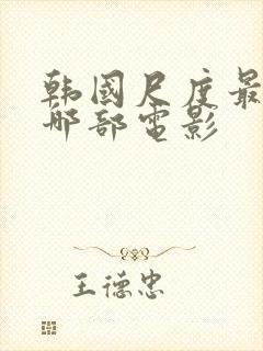 韩国尺度最大的哪部电影