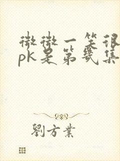 微微一笑很倾城pk是第几集