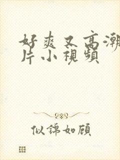 好爽又高潮了毛片小视频