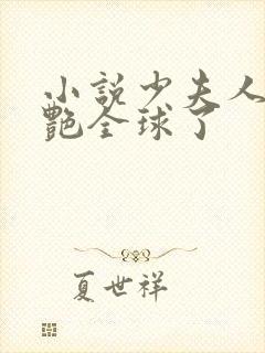 小说少夫人她惊艳全球了封面