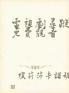 电视剧寻踪觅影免费观看