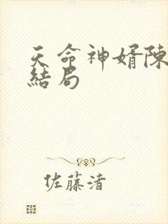 天命神婿陈黄皮结局封面