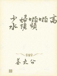 少妇啪啪高潮喷水视频