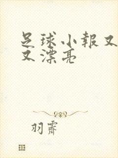 足球小报又简单又漂亮