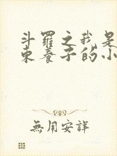 斗罗之我是比比东养子的小说