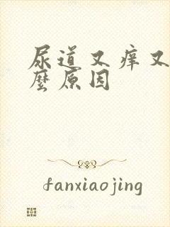 尿道又痒又疼什么原因