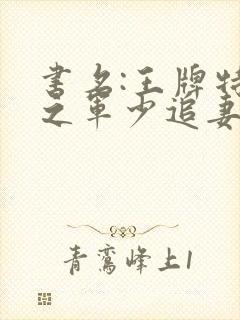 书名:王牌特战之军少追妻