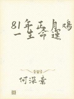 81年正月鸡女一生命运封面