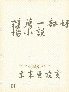 推荐一部好的官场小说封面