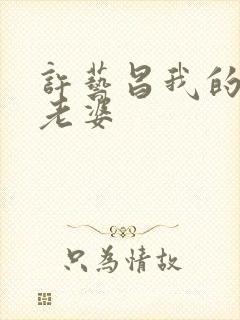 许艺昌我的朋友老婆封面