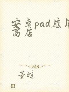 安卓pad应用商店封面