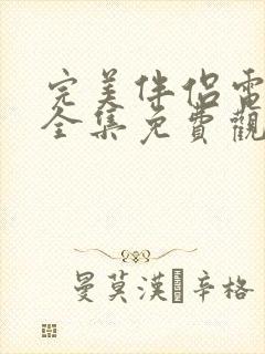 完美伴侣电视剧全集免费观看完整版