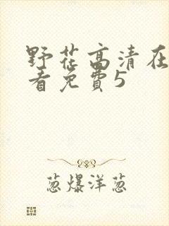 野花高清在线观看免费5