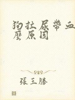 狗拉尿带血是什么原因封面