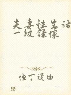 夫妻性生活黄色一级录像