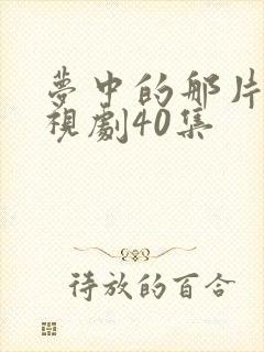 梦中的那片海电视剧40集