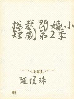 总裁闪婚小娇妻短剧第2季封面