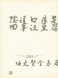 阴道口痒是怎么回事流豆腐渣东西黄色封面