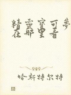 精灵宝可梦旅途在哪里看