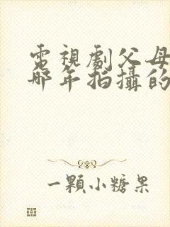 电视剧父母爱情哪年拍摄的