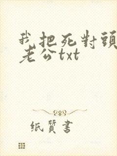 我把死对头养成老公txt