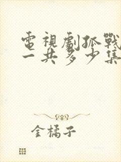 电视剧孤战迷城一共多少集