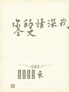 你的情深我不配 全文封面