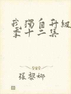 我独自升级第二季十二集