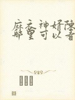 麻衣神婿陈黄皮哪里可以看