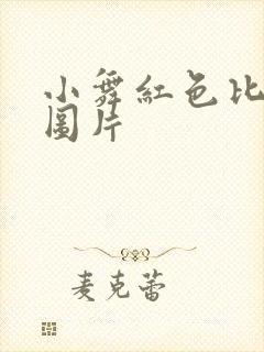 小舞红色比基尼图片