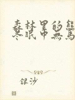 森林里的熊先生冬眠中无马封面