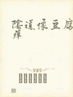 阴道像豆腐渣还痒封面