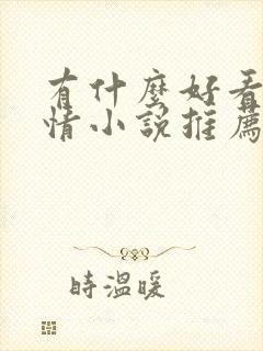 有什么好看的言情小说推荐