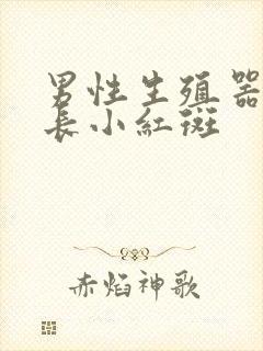 男性生殖器皮上长小红斑