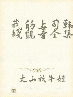 我的上司韩剧在线观看全集