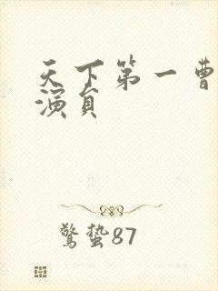 天下第一曹正淳演员