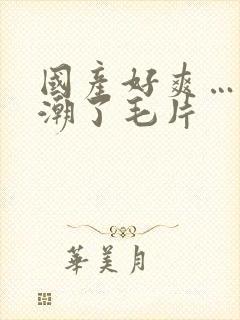 国产好爽…又高潮了毛片