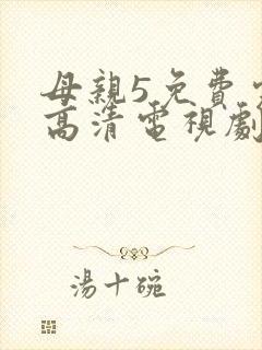 母亲5免费完整高清电视剧在线看封面