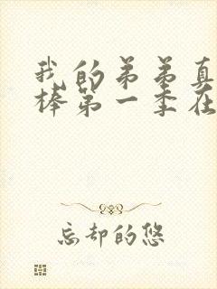 我的弟弟真的很棒第一季在线动漫