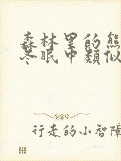 森林里的熊先生冬眠中类似动漫免费观看