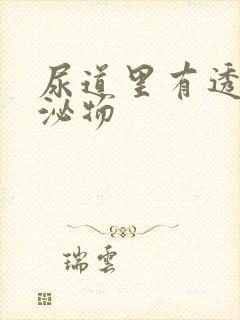 尿道里有透明分泌物