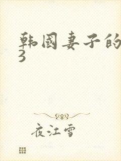 韩国妻子的姐姐3