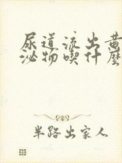 尿道流出黄绿分泌物吃什么药