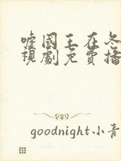 嘘国王在冬眠电视剧免费播放20集