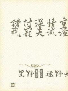 错付深情重生后我宠夫灭渣