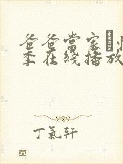 爸爸当家·慢享季在线播放