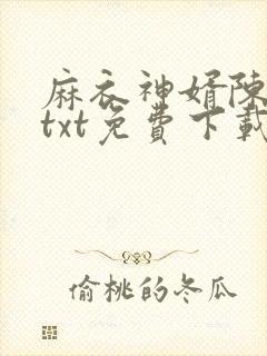 麻衣神婿陈黄皮txt免费下载